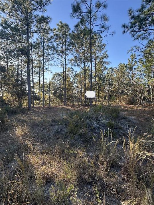 На продажу: $14,999 (0.23 acres)