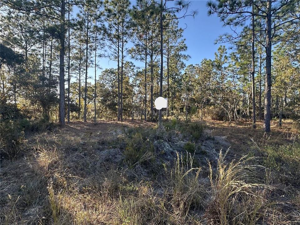 На продажу: $14,999 (0.23 acres)