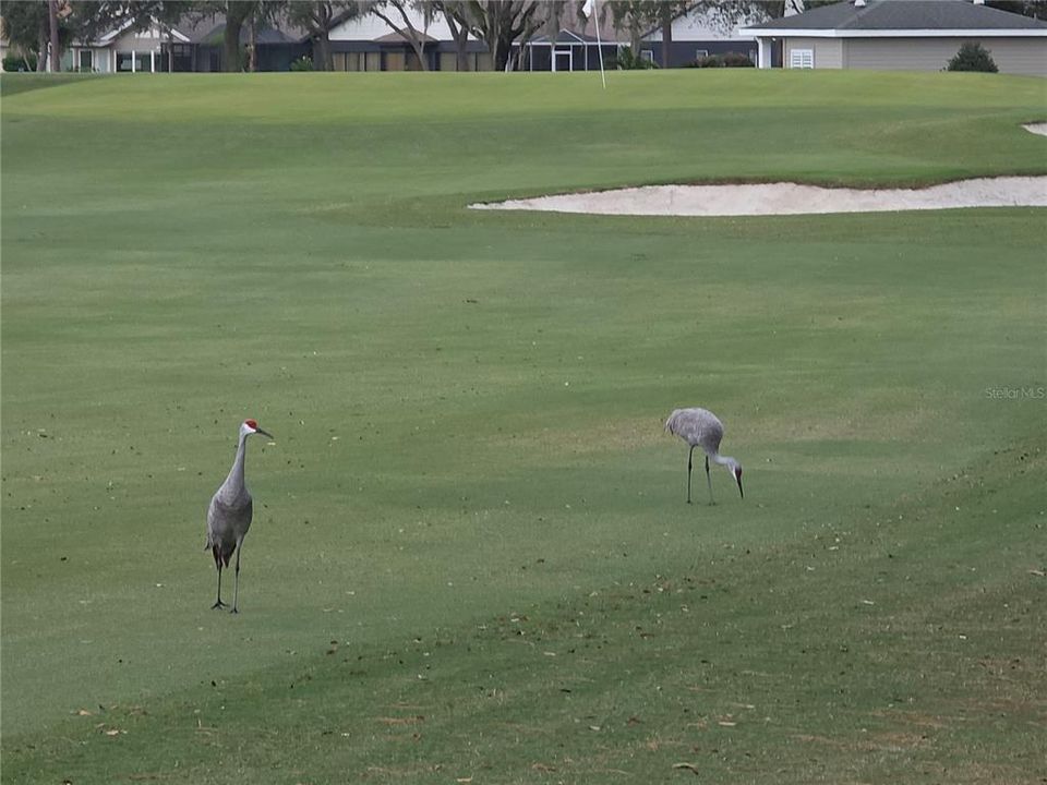 Active With Contract: $332,500 (2 beds, 2 baths, 1788 Square Feet)