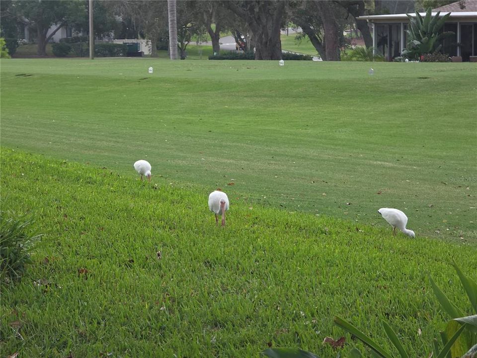 Active With Contract: $332,500 (2 beds, 2 baths, 1788 Square Feet)