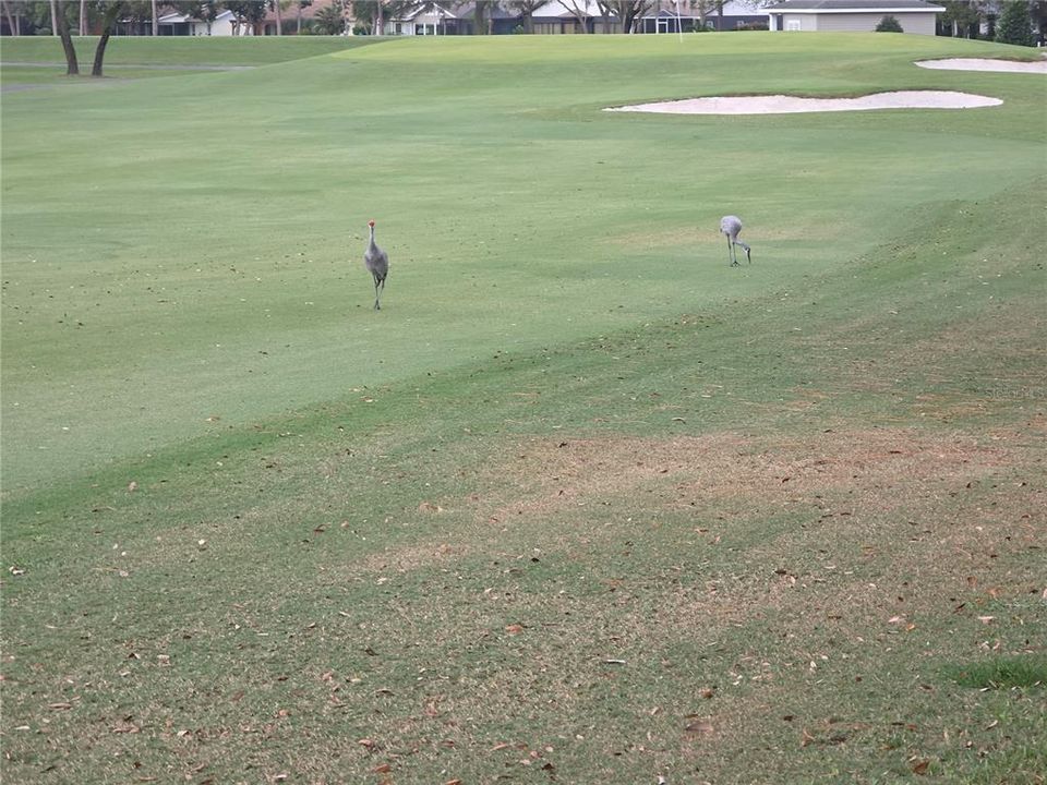 Active With Contract: $332,500 (2 beds, 2 baths, 1788 Square Feet)