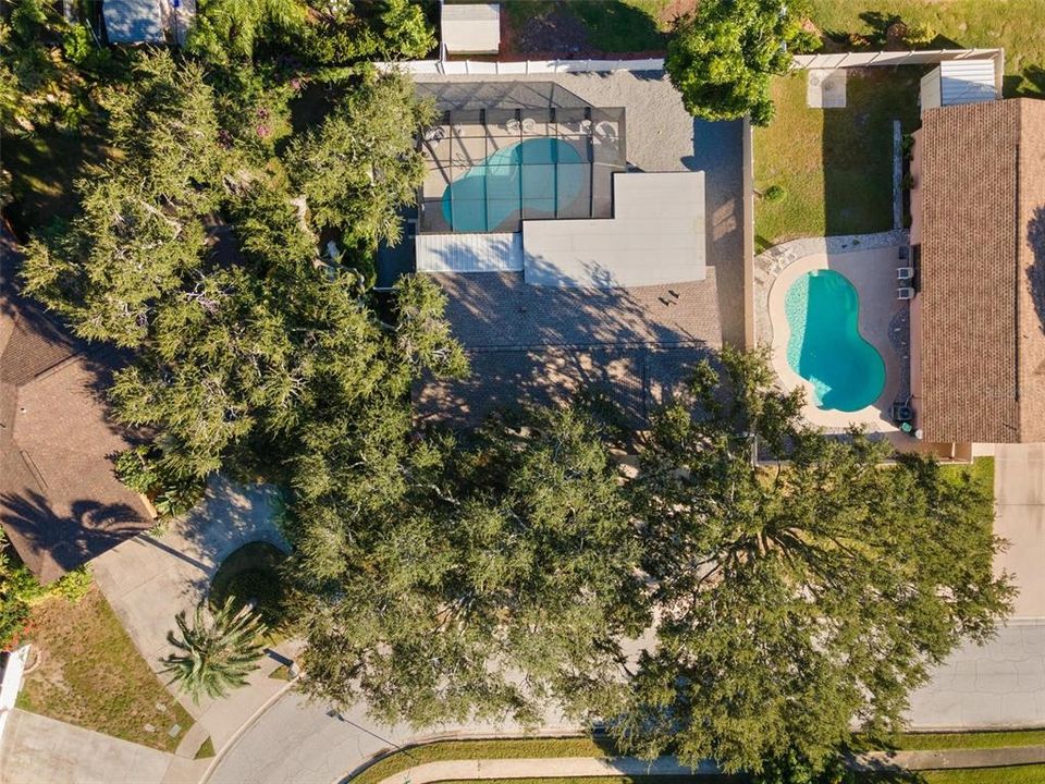 待售: $559,000 (3 贝兹, 2 浴室, 1480 平方英尺)