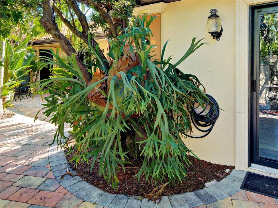 For Sale: $1,450,000 (4 beds, 3 baths, 3700 Square Feet)