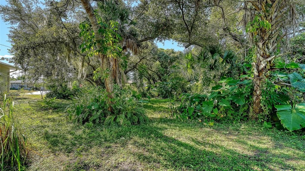 Под контрактом: $364,000 (3 спален, 2 ванн, 1871 Квадратных фут)