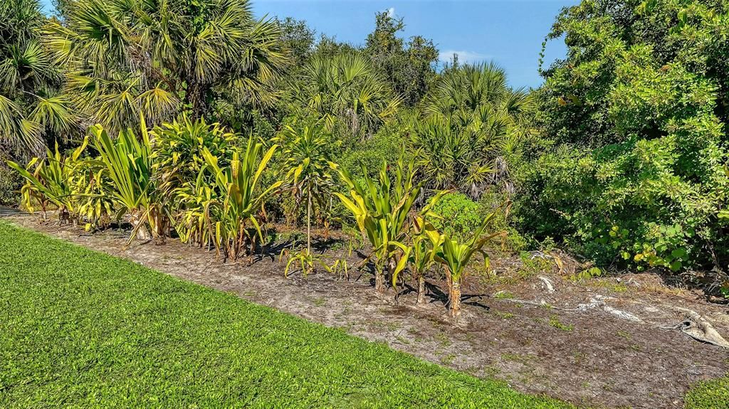 Под контрактом: $364,000 (3 спален, 2 ванн, 1871 Квадратных фут)