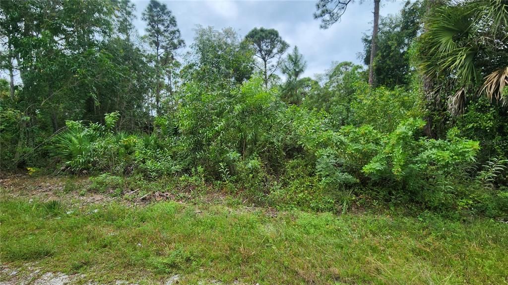 For Sale: $20,000 (0.19 acres)