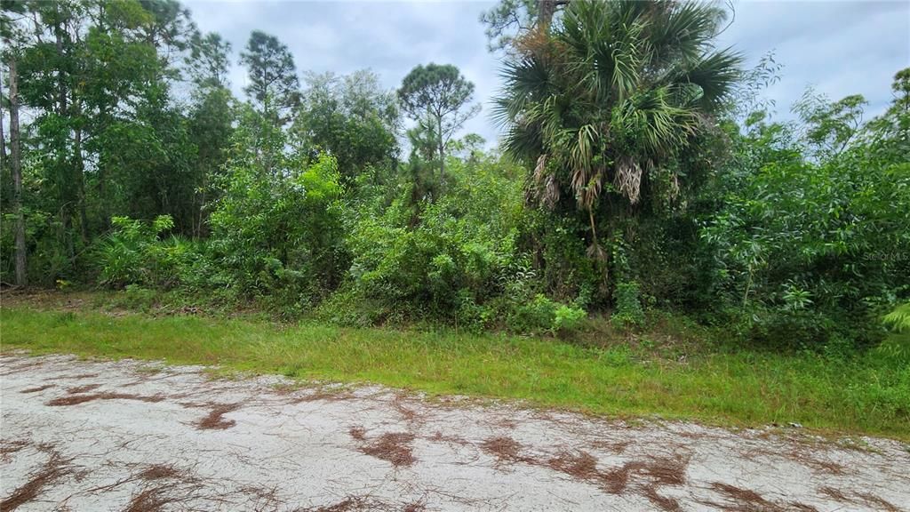 For Sale: $20,000 (0.19 acres)