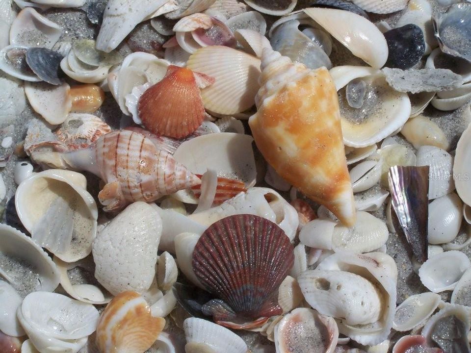 На продажу: $1,790,000 (3 спален, 2 ванн, 1691 Квадратных фут)