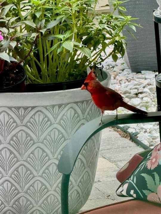 Active With Contract: $389,900 (3 beds, 2 baths, 1730 Square Feet)