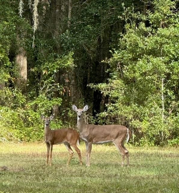 Active With Contract: $389,900 (3 beds, 2 baths, 1730 Square Feet)