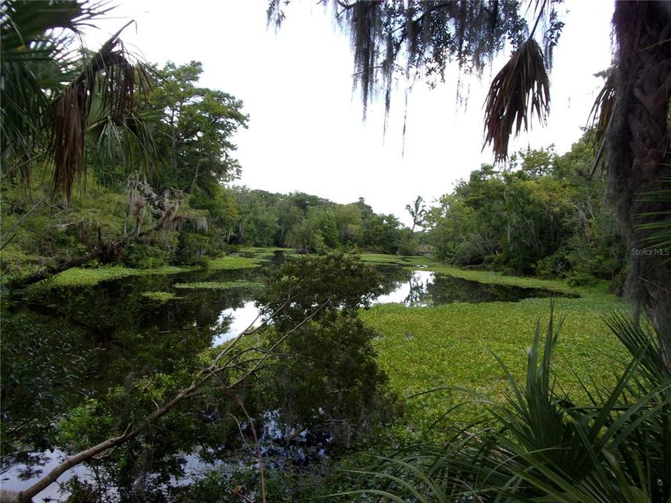 待售: $12,500,000 (51.00 acres)