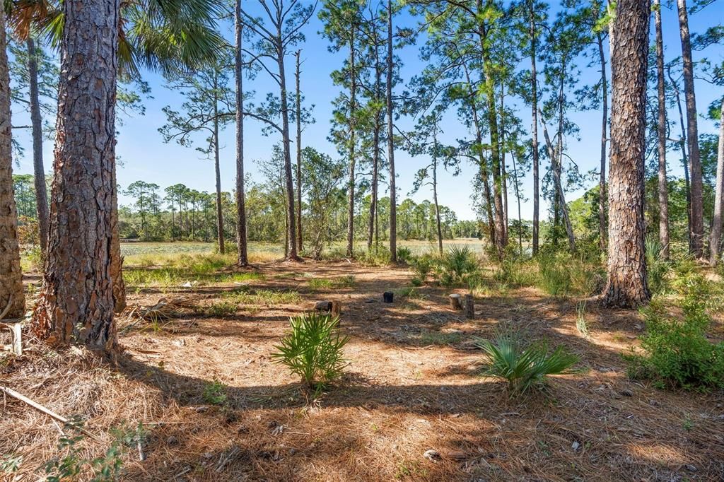 待售: $12,500,000 (51.00 acres)