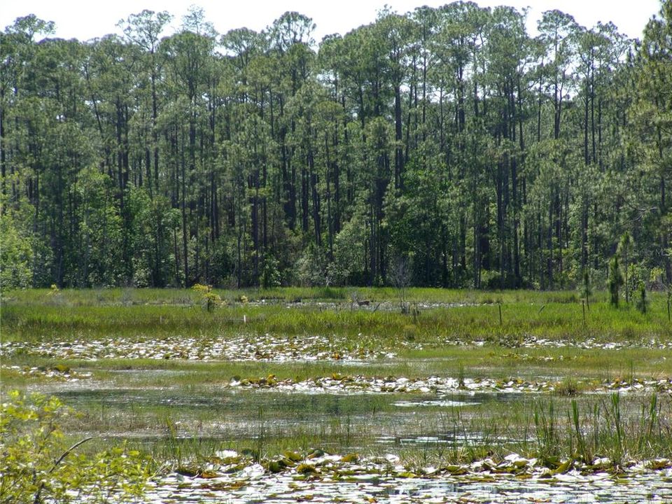 待售: $12,500,000 (51.00 acres)