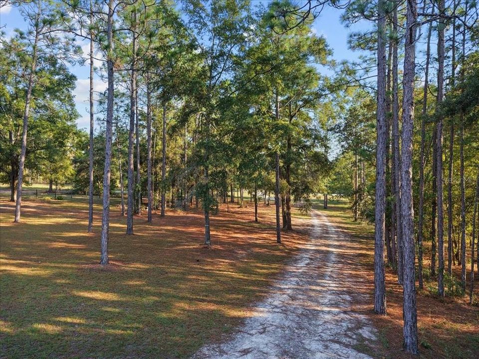 For Sale: $325,000 (3 beds, 2 baths, 1512 Square Feet)