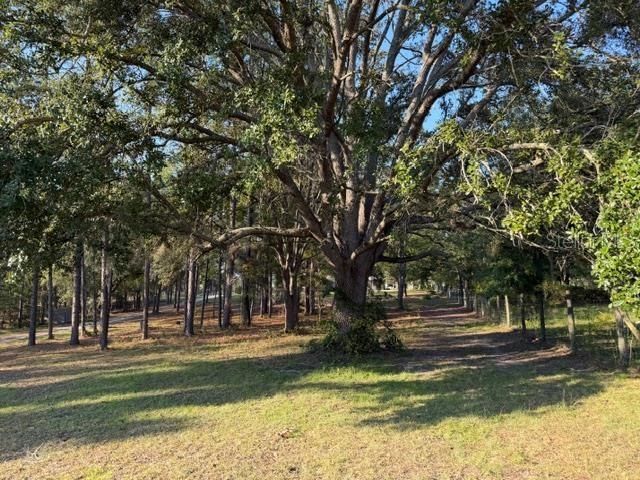 For Sale: $325,000 (3 beds, 2 baths, 1512 Square Feet)