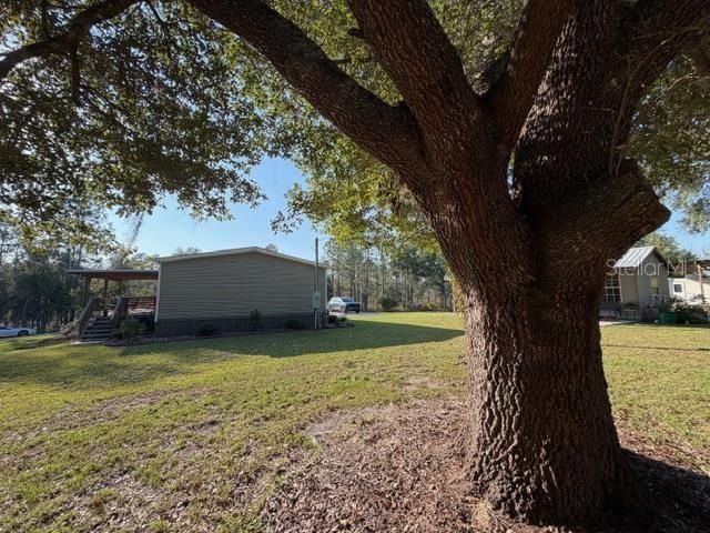 For Sale: $325,000 (3 beds, 2 baths, 1512 Square Feet)