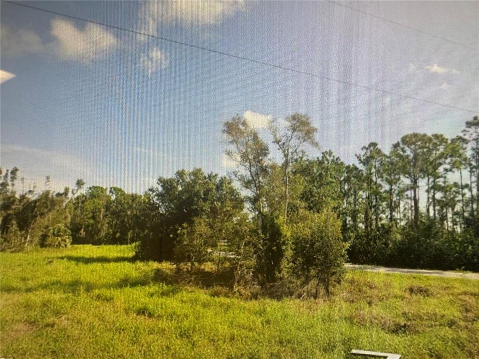 For Sale: $11,900 (0.16 acres)