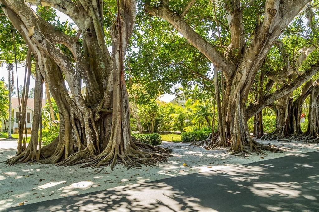 For Sale: $1,050,000 (3 beds, 2 baths, 2037 Square Feet)