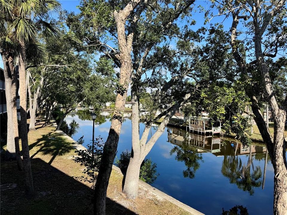 En Renta: $2,500 (3 camas, 2 baños, 1520 Pies cuadrados)