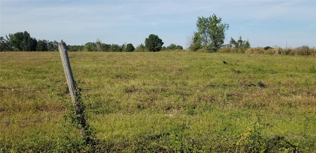 For Sale: $489,900 (5.00 acres)