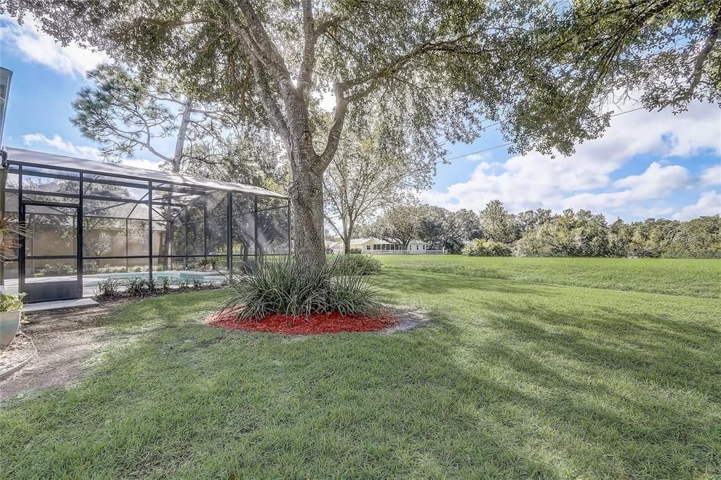 Active With Contract: $657,000 (4 beds, 3 baths, 2514 Square Feet)