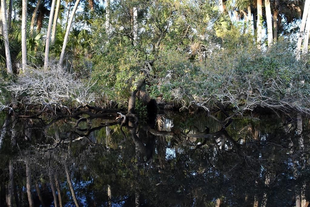 待售: $1,000,000 (5.01 acres)