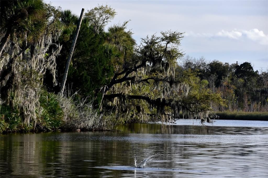 待售: $1,000,000 (5.01 acres)