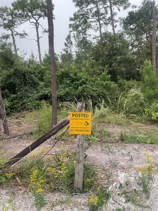 待售: $1,000,000 (5.01 acres)