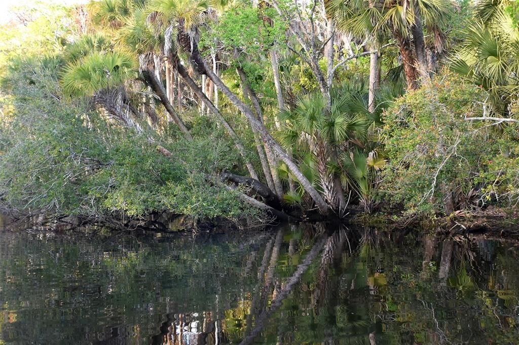 待售: $1,000,000 (5.01 acres)