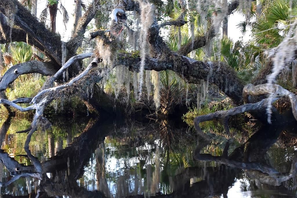 待售: $1,000,000 (5.01 acres)