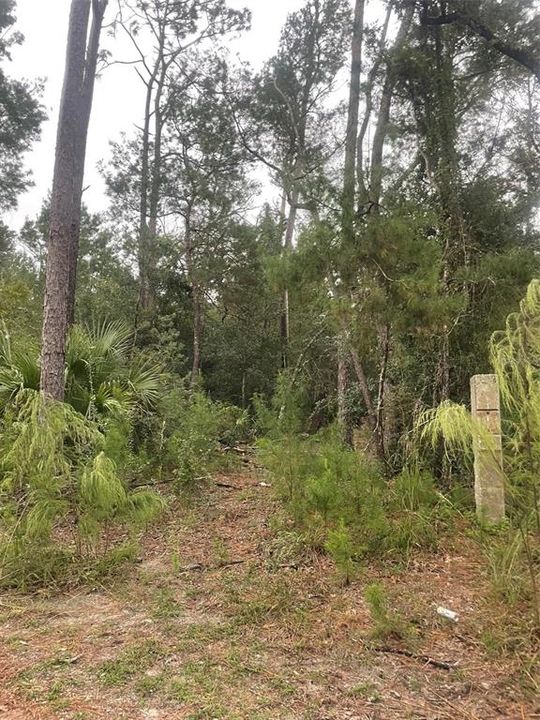 待售: $1,000,000 (5.01 acres)