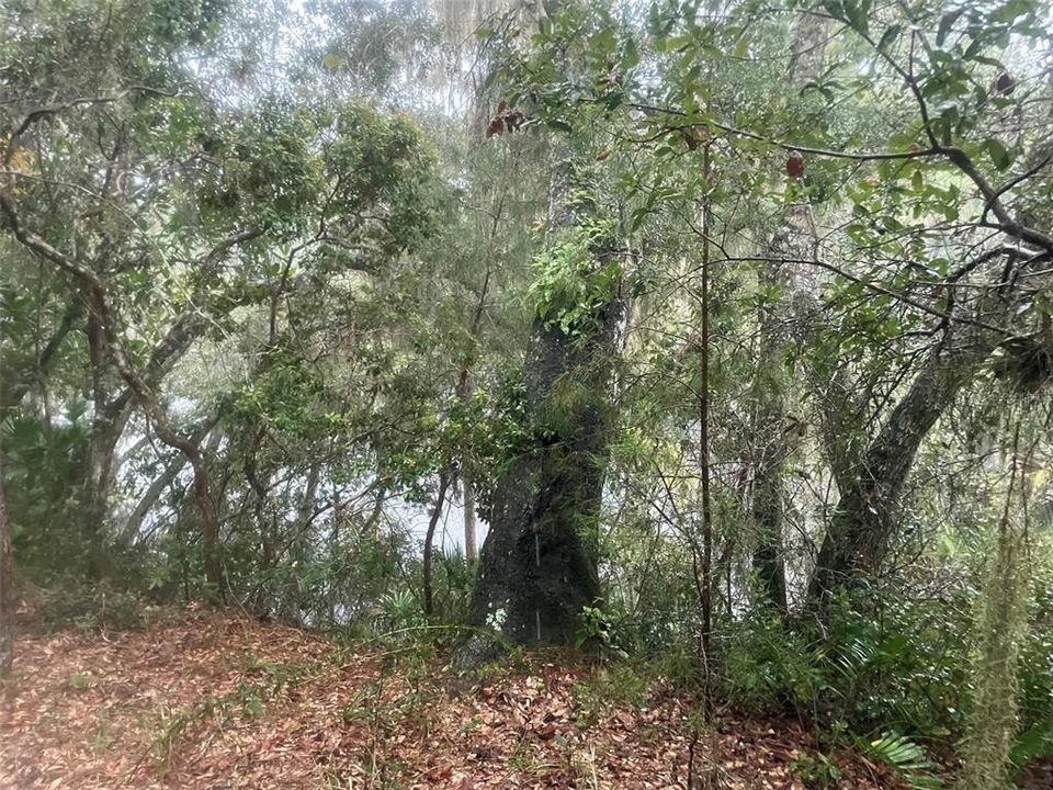 待售: $1,000,000 (5.01 acres)