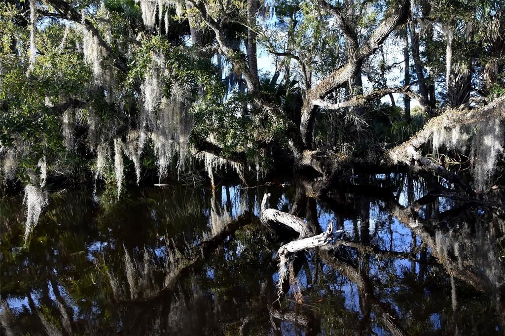 待售: $1,000,000 (5.01 acres)