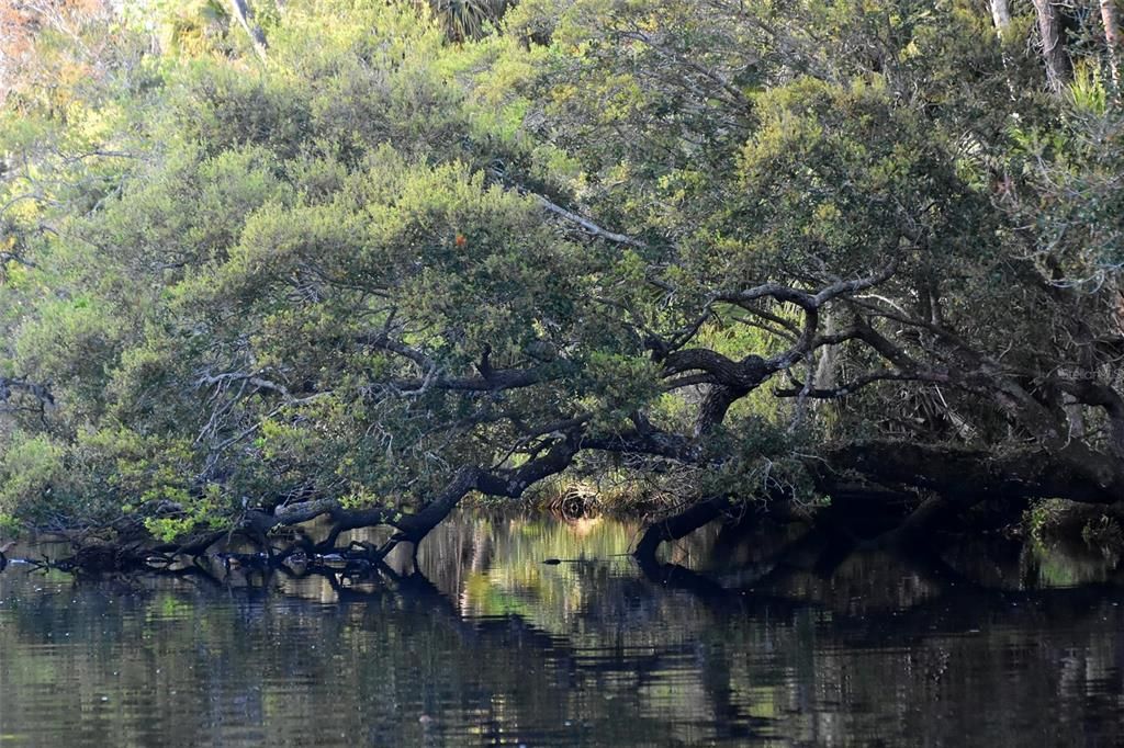 待售: $1,000,000 (5.01 acres)