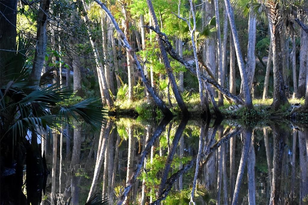 待售: $1,000,000 (5.01 acres)