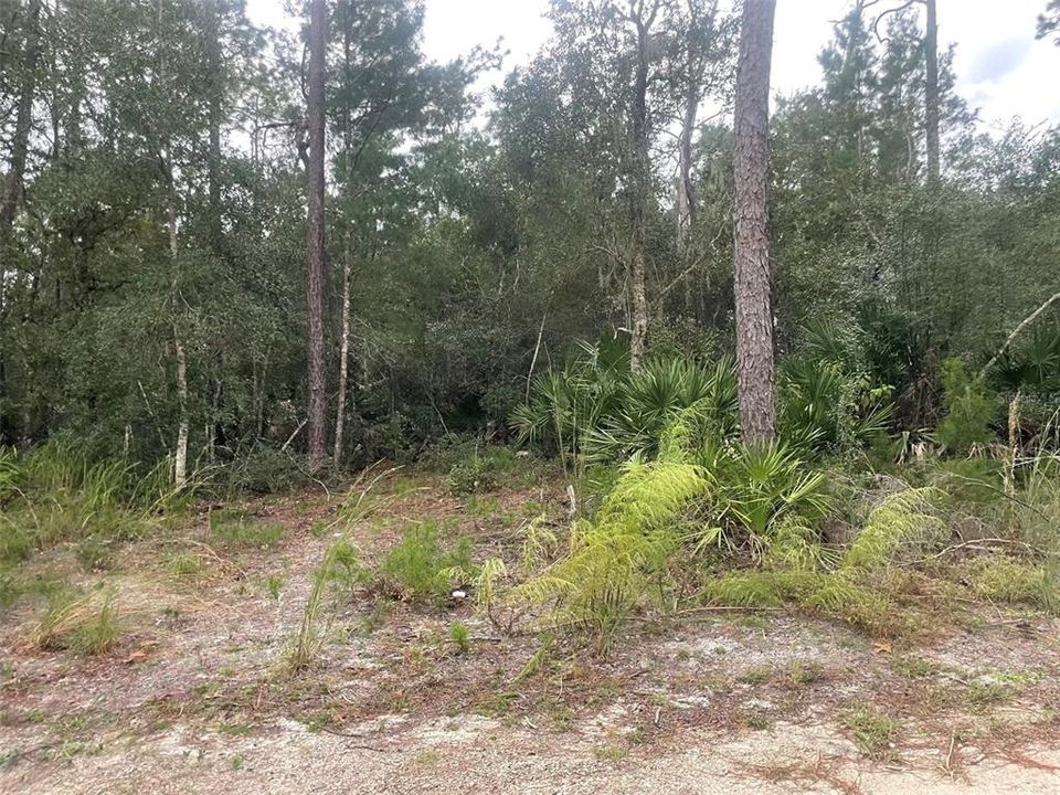 待售: $1,000,000 (5.01 acres)