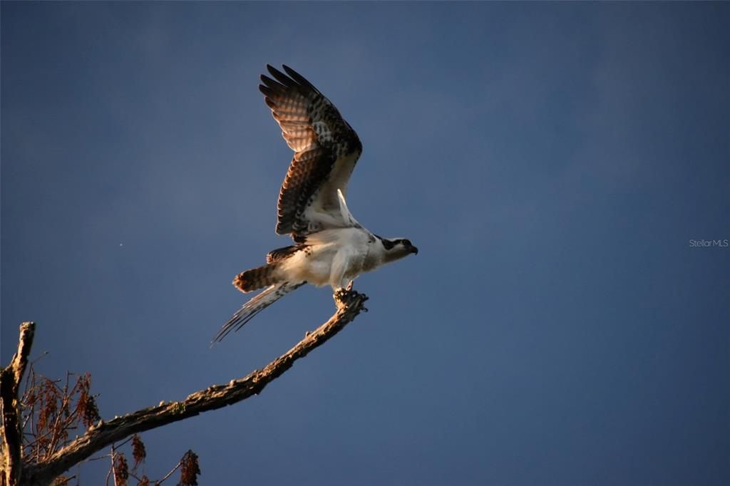 待售: $1,000,000 (5.01 acres)