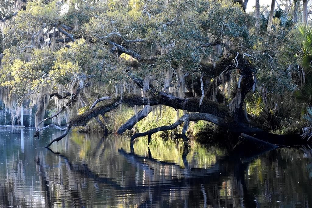 待售: $1,000,000 (5.01 acres)