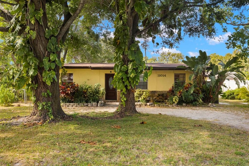 合同活跃: $317,500 (3 贝兹, 2 浴室, 1124 平方英尺)