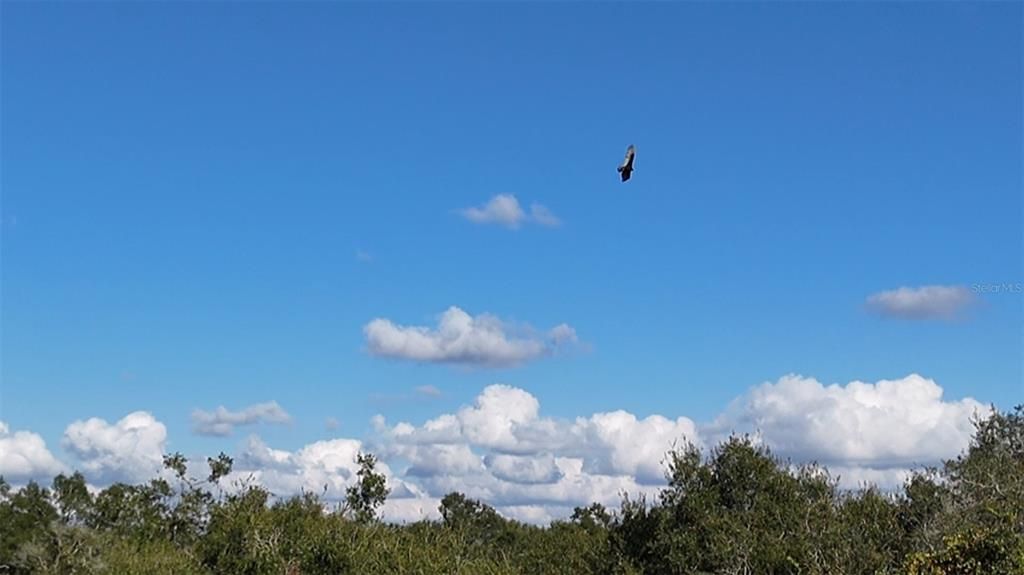 На продажу: $235,000 (3 спален, 2 ванн, 960 Квадратных фут)