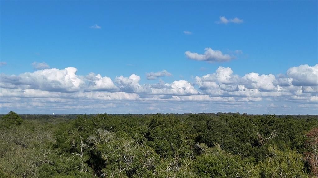 На продажу: $235,000 (3 спален, 2 ванн, 960 Квадратных фут)