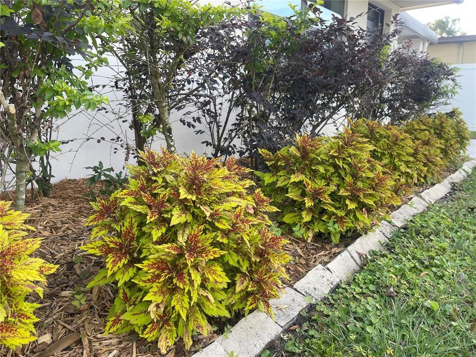 For Sale: $315,000 (2 beds, 1 baths, 910 Square Feet)