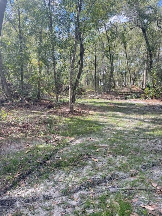 待售: $229,900 (0.92 acres)