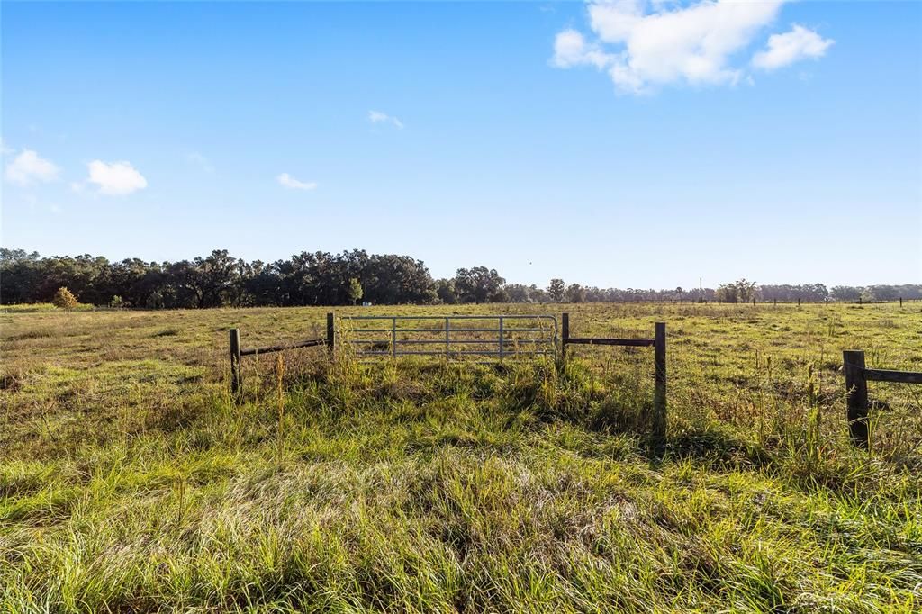 待售: $550,000 (10.00 acres)