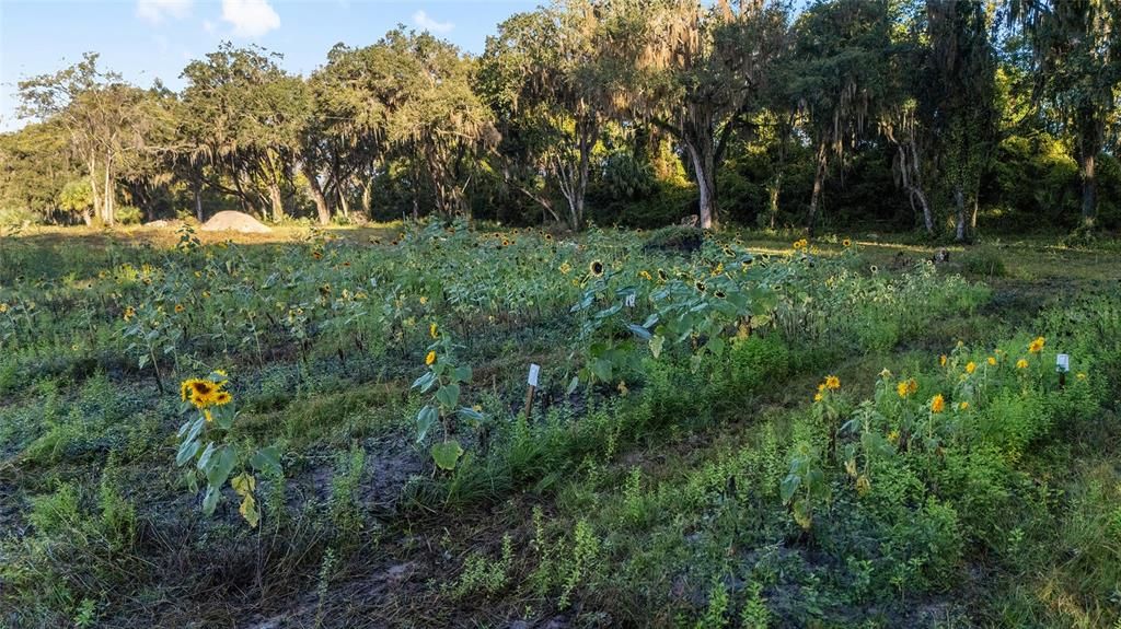 待售: $550,000 (10.00 acres)