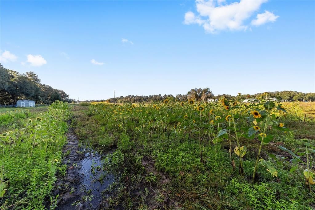 待售: $550,000 (10.00 acres)