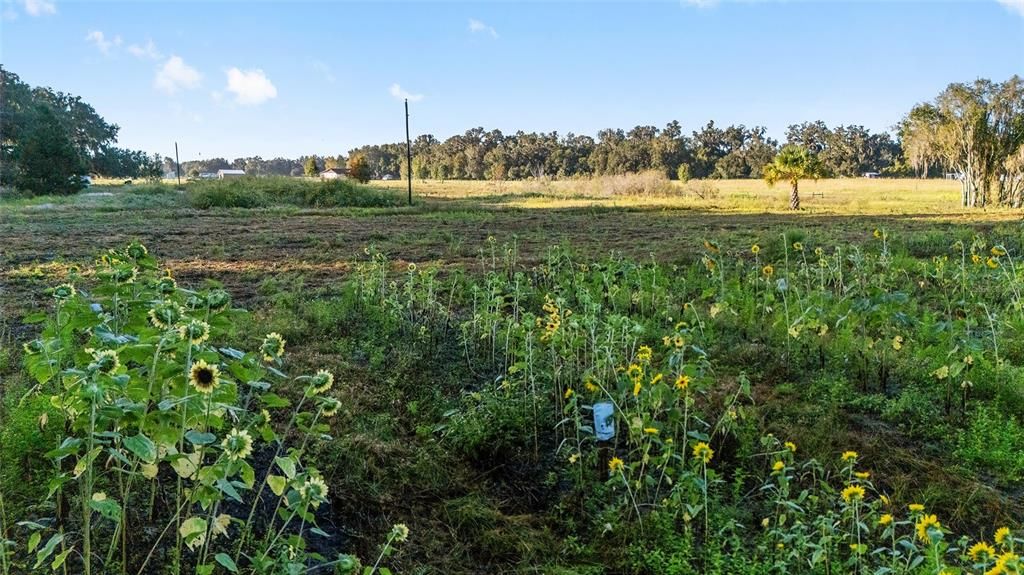 待售: $550,000 (10.00 acres)