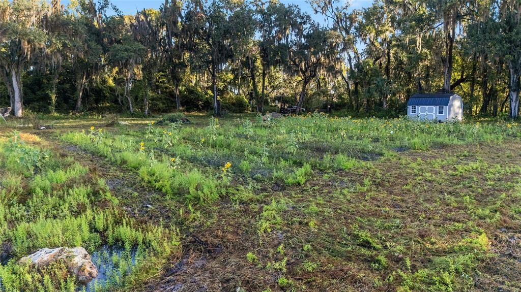 待售: $550,000 (10.00 acres)