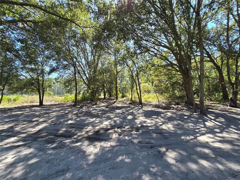 待售: $25,000 (1.25 acres)