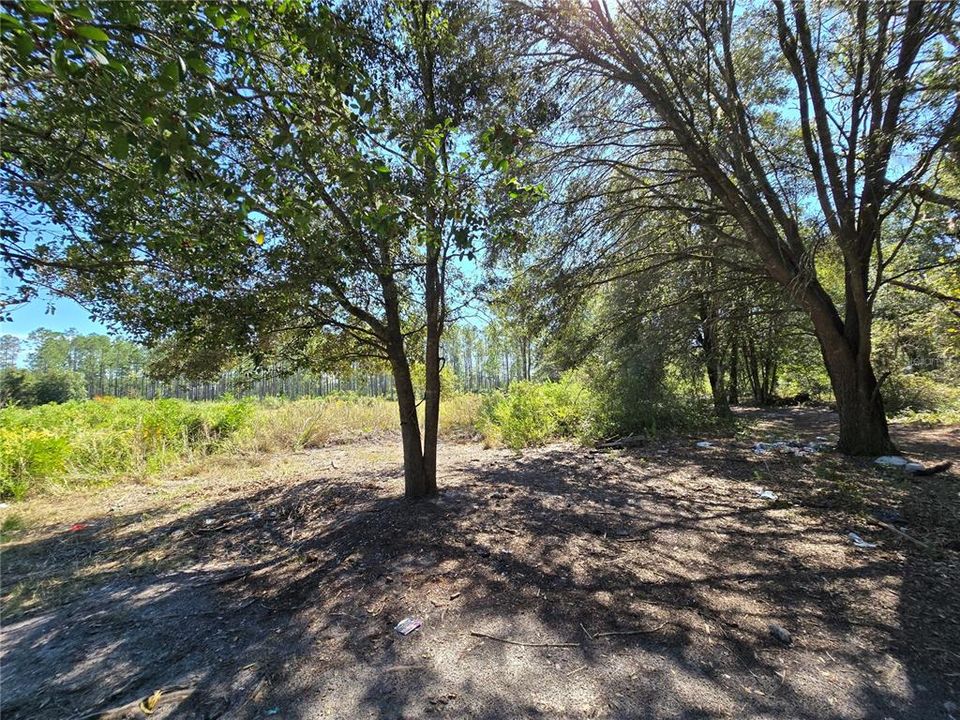 待售: $25,000 (1.25 acres)